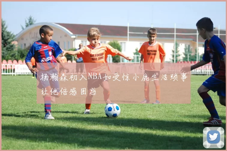 杨瀚森初入NBA如受惊小鹿生活琐事让他倍感困惑