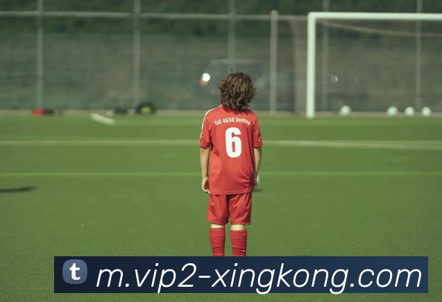 星空体育APP 体育赛事宣传图